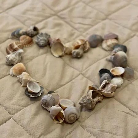 Losanna 3* 리미니