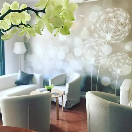 Hotel Losanna Rimini