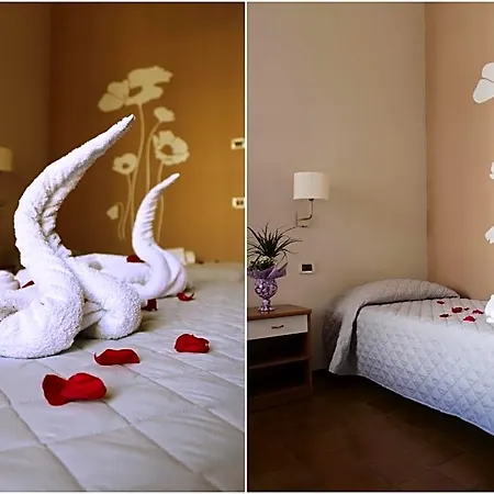 Hotel Losanna Rimini
