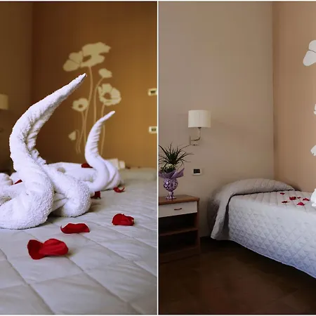 Hotel Losanna Rimini