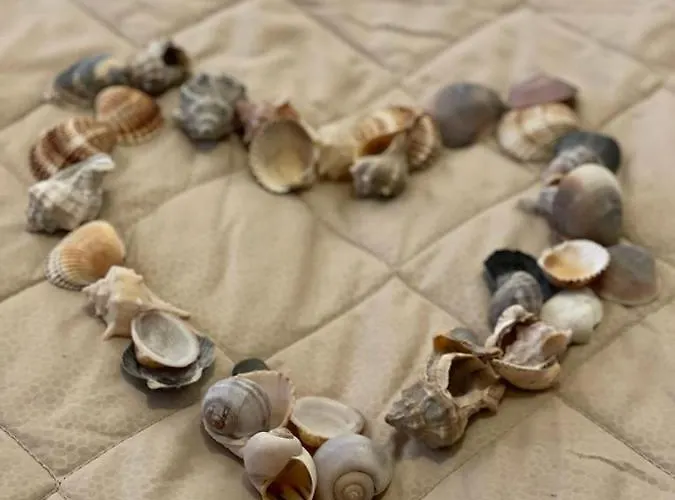 Losanna 3* Римини