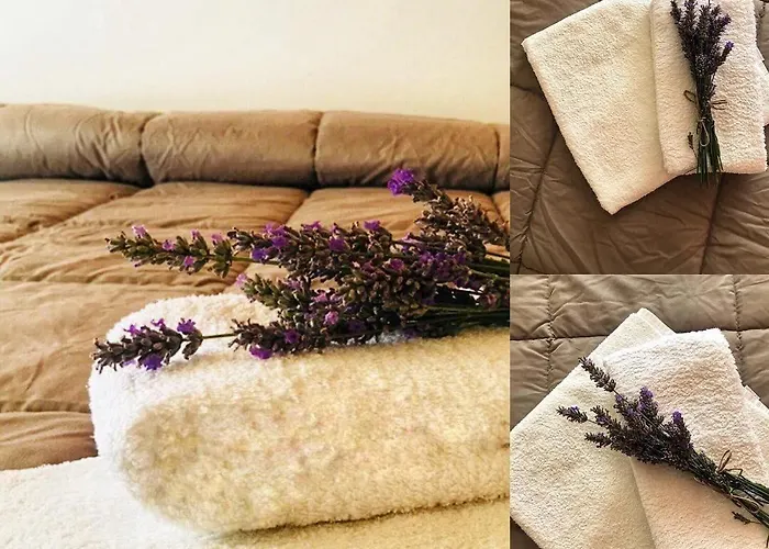 Отель Losanna 3*